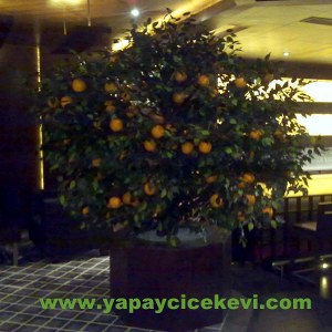 yapay portakal ağacı 093